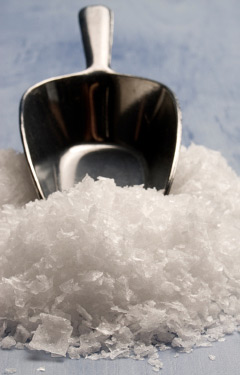 Maldon Salt Scoop