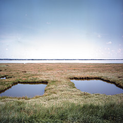 Saxon salt pits