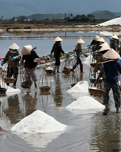 Workers transporting salt from the fields in Hon Khoi, Vietnam