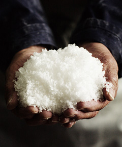 Hands cupped around salt crystals