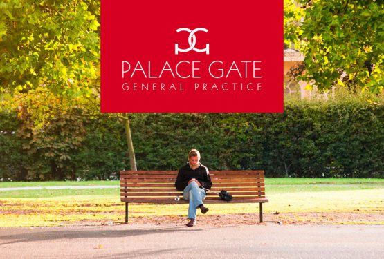 Palace Gate Practice website